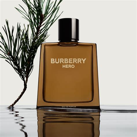 burberry best mens perfume|original burberry cologne for men.